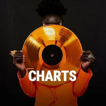 Logo BigFM Charts
