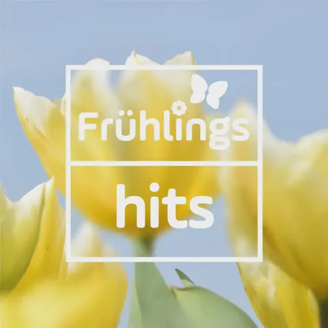 Logo Antenne Bayern Frühlings Hits