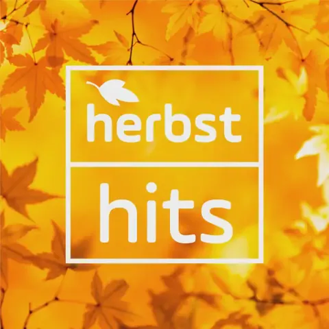 Logo Antenne Bayern Herbst Hits