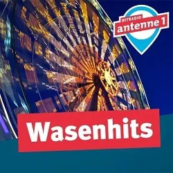 Logo Antenne 1 PLUS / Wasenhits