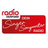 Singer Songwriter
