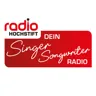 Singer Songwriter