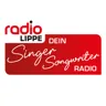 Radio Lippe - Dein Singer/Songwriter