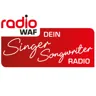 Singer/Songwriter