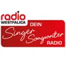 Singer/Songwriter
