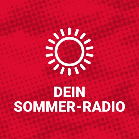 Logo Radio 91.2 Dein Sommer
